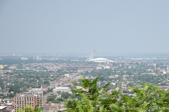 mont-royal-1