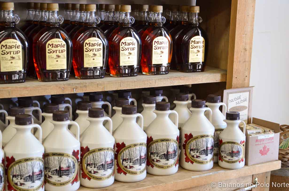 maple-syrup-1