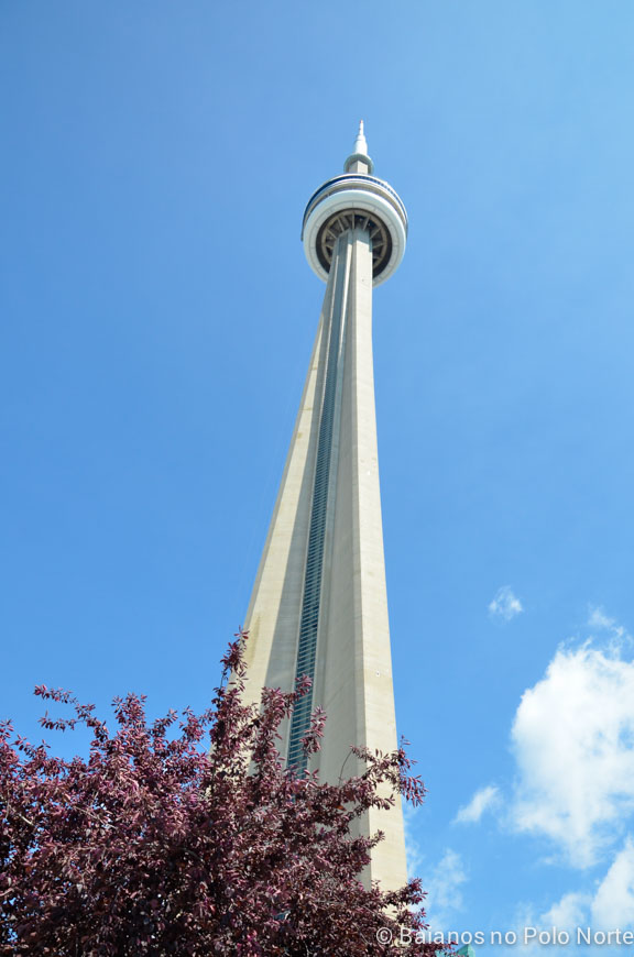 CN-tower-6