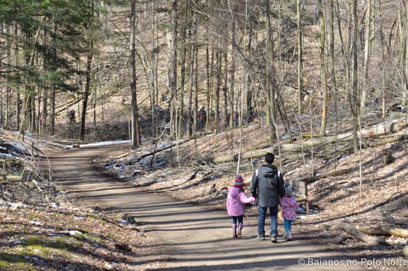 kortright-pascoa-sugarbush-16