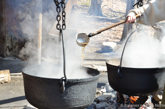 kortright-pascoa-sugarbush-2