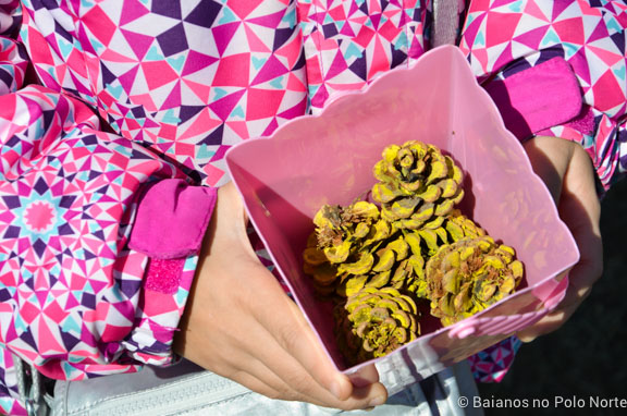 kortright-pascoa-sugarbush-24