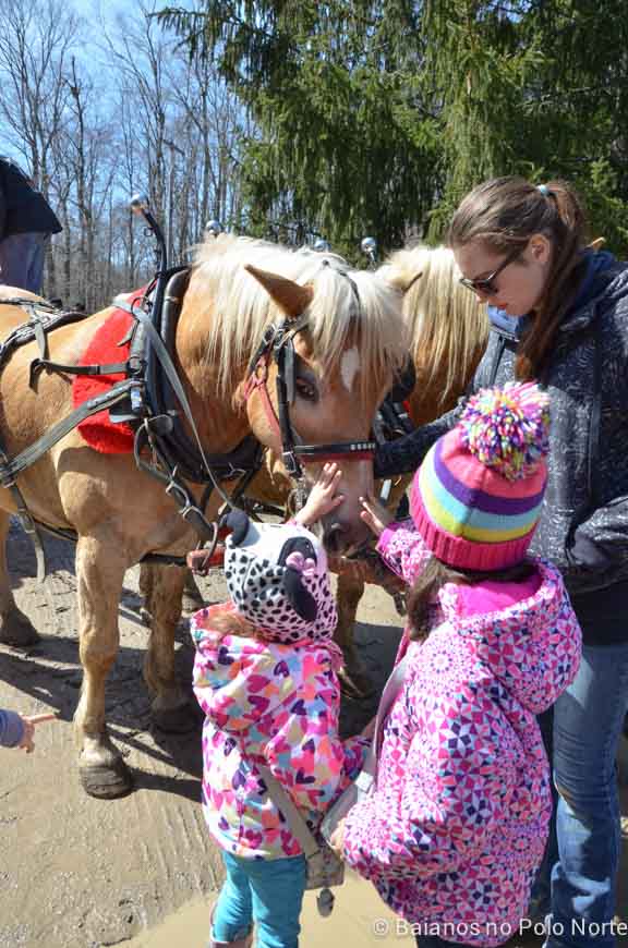 kortright-pascoa-sugarbush-30