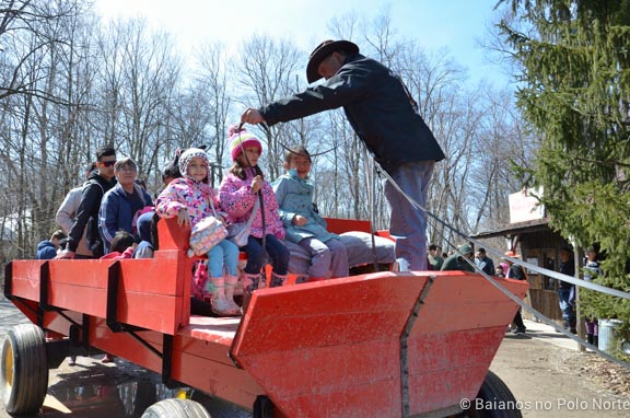 kortright-pascoa-sugarbush-31