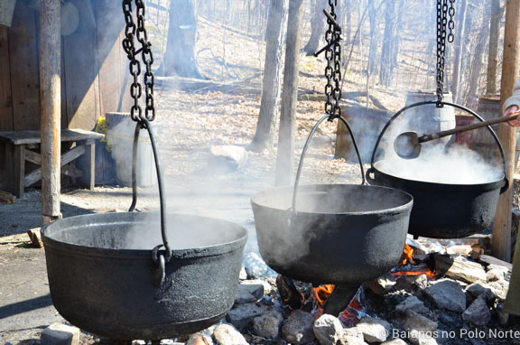 kortright-pascoa-sugarbush-5