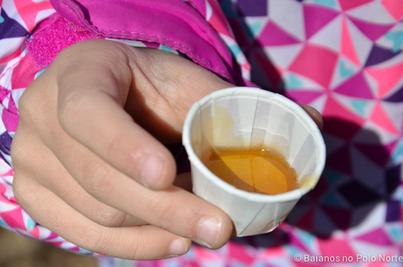 kortright-pascoa-sugarbush-6