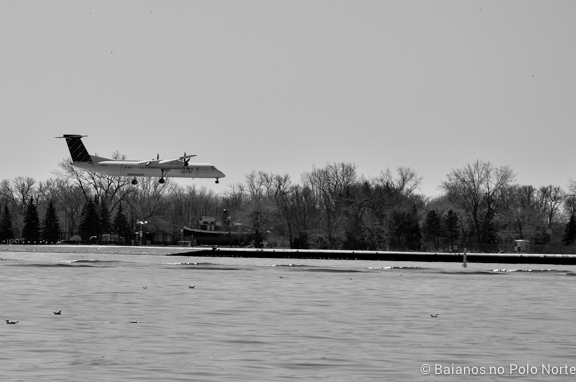 Harbourfront-centre-12