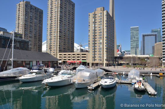 Harbourfront-centre-8