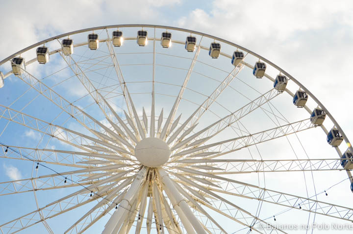 niagara-skywheel-17