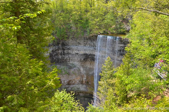 hamilton-cachoeira-webster-tew-18