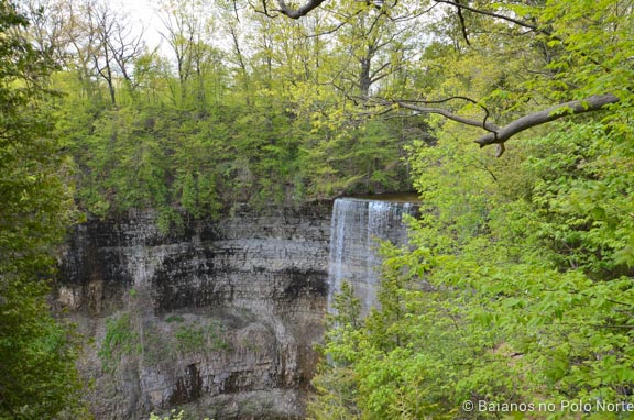 hamilton-cachoeira-webster-tew-19