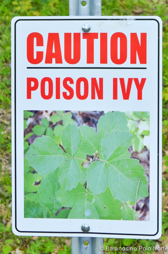 hamilton-cachoeira-webster-tew-4