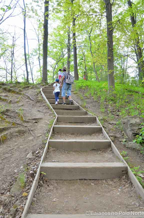 hamilton-cachoeira-webster-tew-6