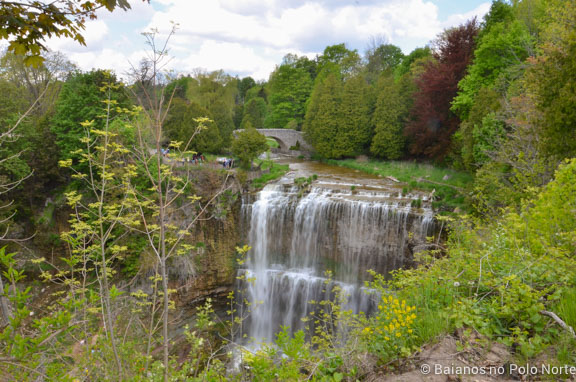 hamilton-cachoeira-webster-tew-7