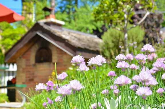 riverdale-farm-fazenda-toronto-18