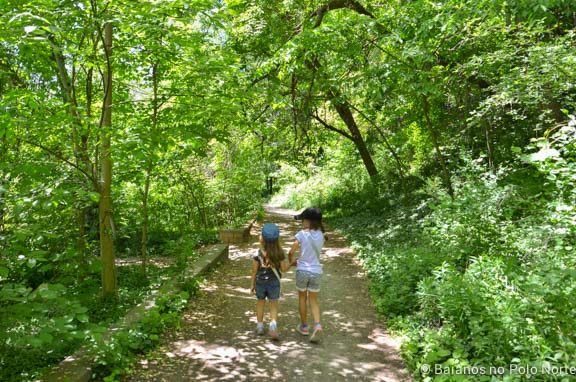 riverdale-farm-fazenda-toronto-23