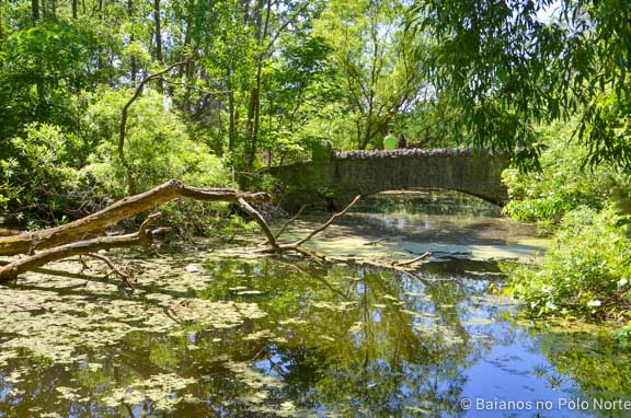 riverdale-farm-fazenda-toronto-25