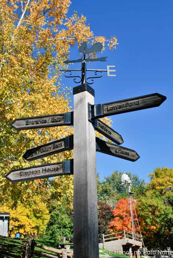 riverdale-farm-fazenda-toronto-33