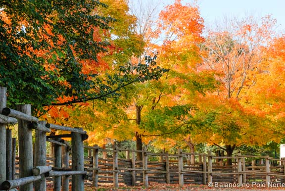 riverdale-farm-fazenda-toronto-34