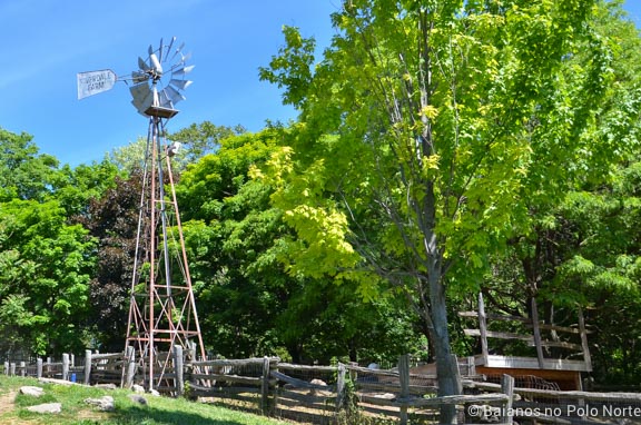 riverdale-farm-fazenda-toronto-38