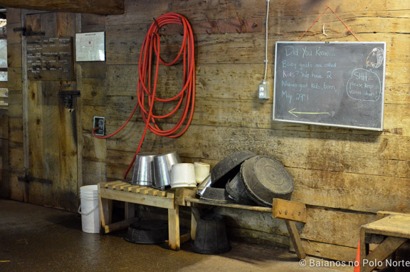 riverdale-farm-fazenda-toronto-9