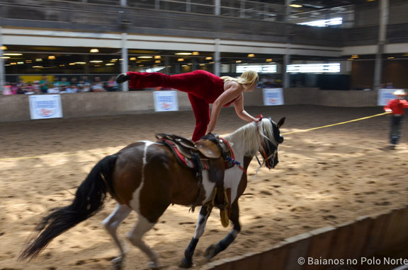 HorseCapades-Cavalos-CNE-11