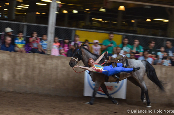 HorseCapades-Cavalos-CNE-12
