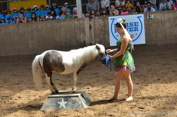HorseCapades-Cavalos-CNE-13