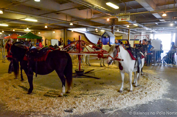 HorseCapades Cavalos-CNE-2