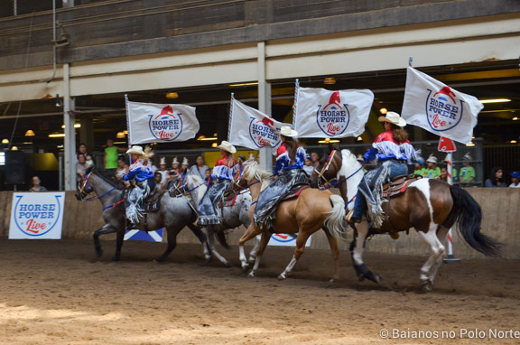 HorseCapades Cavalos-CNE-4