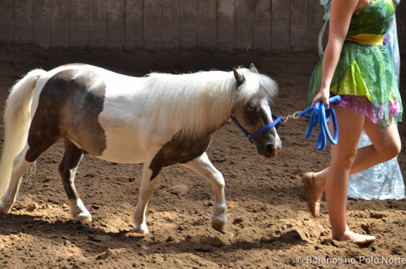 HorseCapades-Cavalos-CNE-6