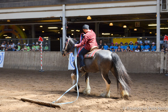 HorseCapades-Cavalos-CNE-7