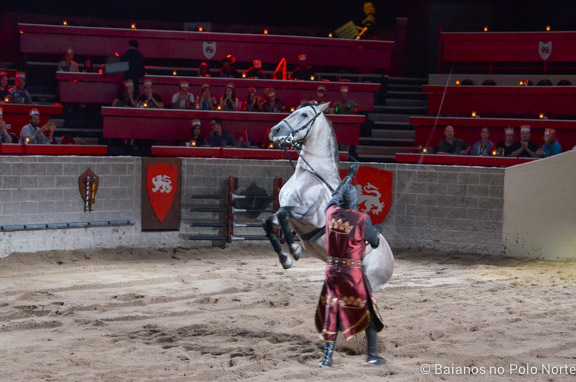 Medieval Times-26