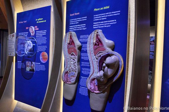 Ontario-Science-Centre-10