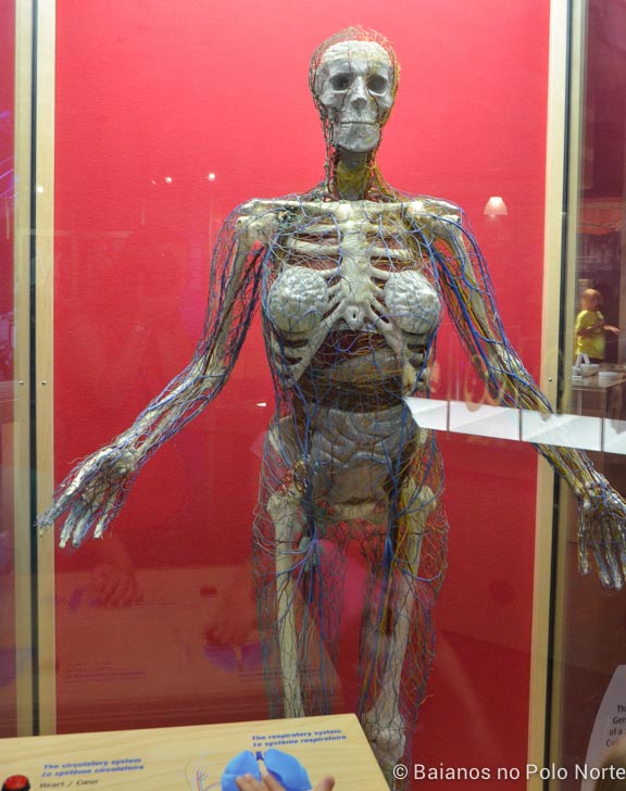 Ontario-Science-Centre-11