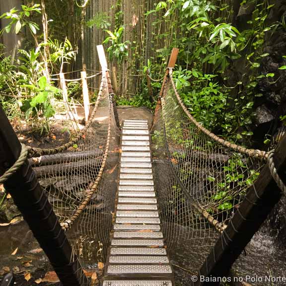 Ontario-Science-Centre-25