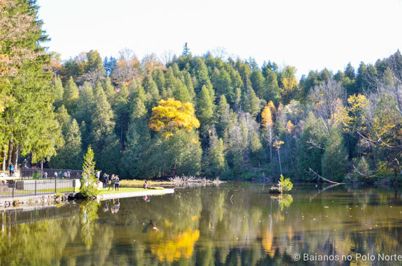 belfountain-conservation-area-1