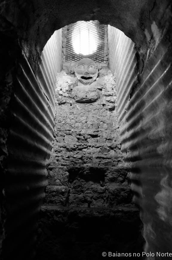 belfountain-conservation-area-10