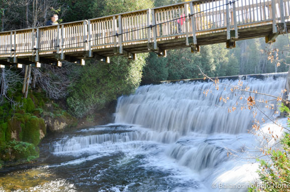 belfountain-conservation-area-11