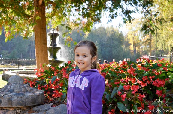 belfountain-conservation-area-12