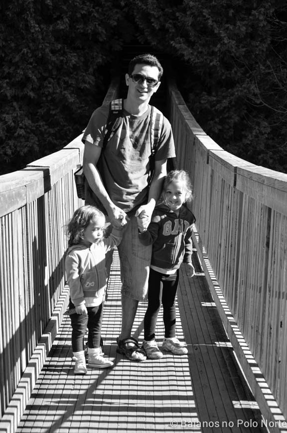 belfountain-conservation-area-2