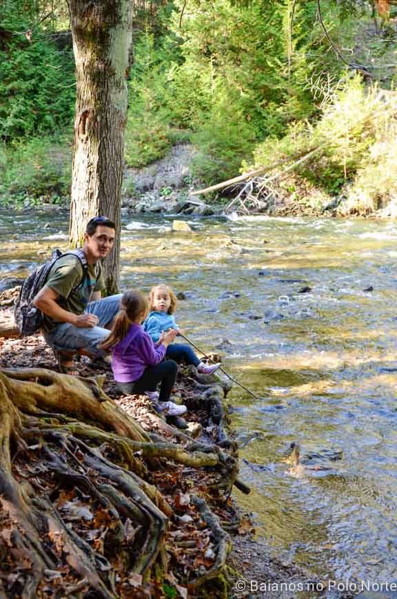 belfountain-conservation-area-4