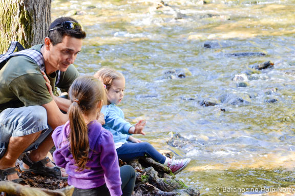 belfountain-conservation-area-5