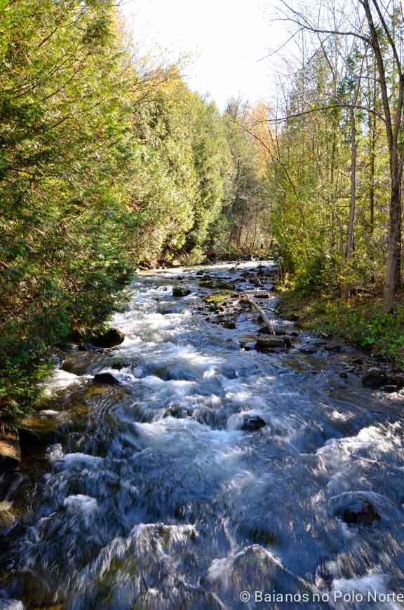 belfountain-conservation-area-6