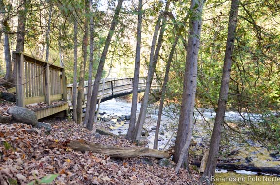 belfountain-conservation-area-7