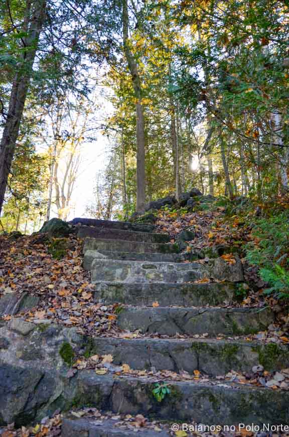 belfountain-conservation-area-8