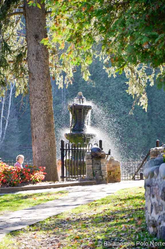 belfountain-conservation-area-9