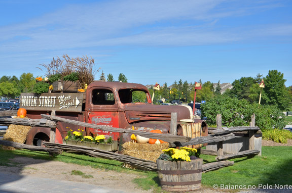 blue-mountain-outono-15