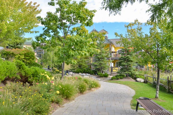 blue-mountain-outono-8