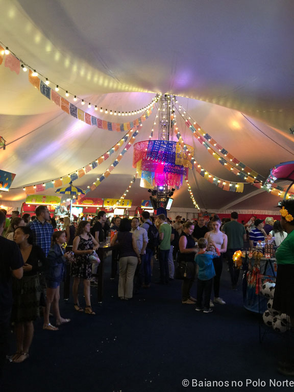 cirque-du-soleil-luzia-17